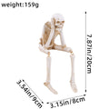 See Speak Hear No Evil Skeleton Figurines Resin