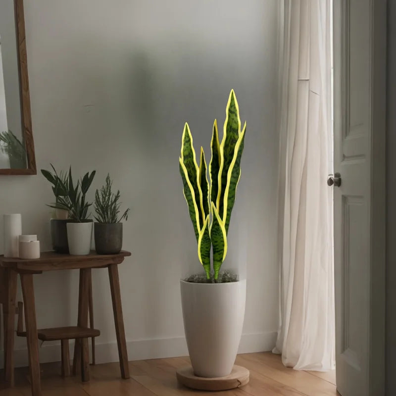 2-Piece Artificial Snake Plant Set